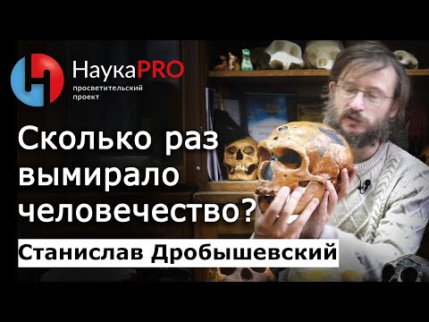 Сколько раз вымирало человечество? – Станислав Дробышевский | Научпоп | Лекции по антропологии