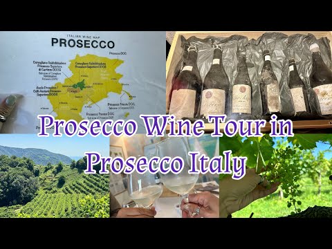Prosecco Wine Tour in Prosecco Italy - world’s oldest prosecco, wine tasting & lunch @ Chef’s house.