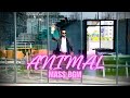 Animal Mass BGM Ringtone Animal Movie BGM