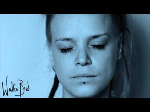 In Dictum - Wallis Bird