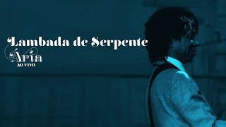 Djavan: "Lambada de Serpente" - Ária Ao Vivo - Clipe Oficial