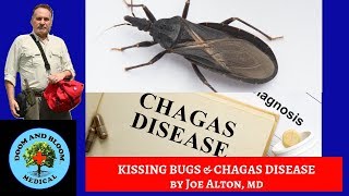Kissing Bugs and Chagas Disease: Prevention, Symptoms and Treatment