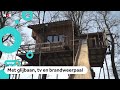 Man van 73 bouwt een waanzinnige boomhut