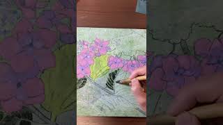 2025年2月7日 アーティストヴィザってどうやって取るか知っていますか？