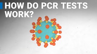 How do COVID-19 tests work RT-PCR explained.