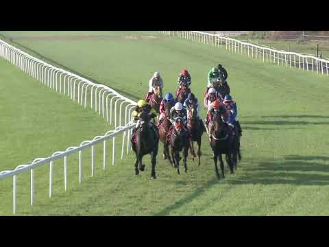 2020.11.08. 05. futam - MAGYAR ST. LEGER (HUN Gd-2) (NGL-X.)