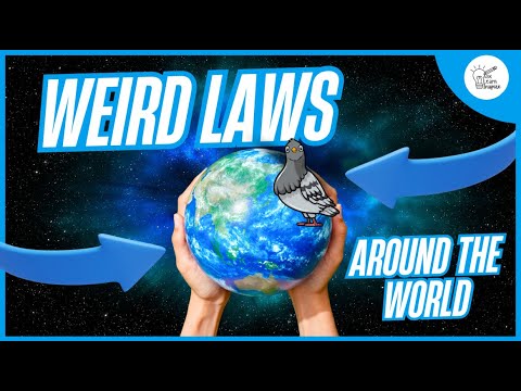 Are These Laws REAL?! | Weird Laws True or False Quiz for Kids & Classrooms