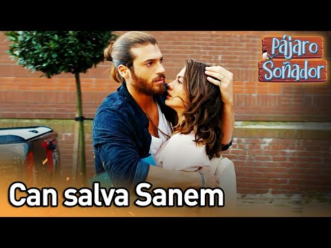 Can salva Sanem | Pájaro soñador | (Audio Español) Erkenci Kus