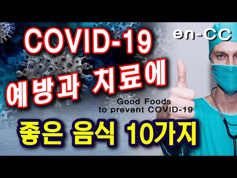 동물이 알려준 치료의 길: 자연에서 발견한 의약품 이야기