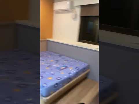 照片