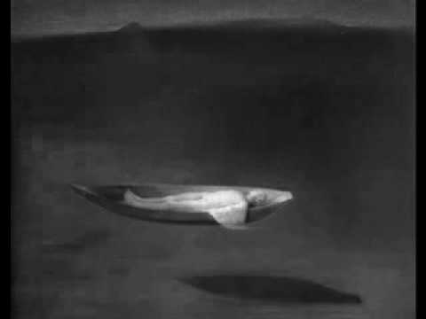Video thumbnail for Water Sleepers