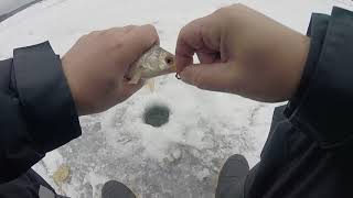Отчеты о рыбалке с пяловского водохранилища