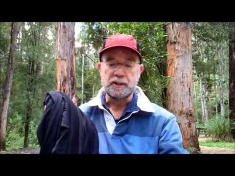 Sea to Summit Thermolite Reactor Sleeping Bag Liner review