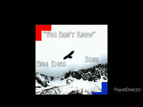 Bigg Chico & Bone - You Don't Know (Official Audio)