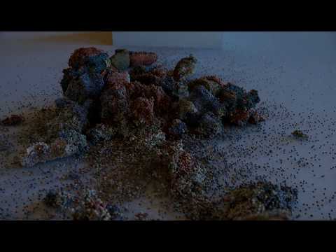 Maya 2019.2 Bifrost Test