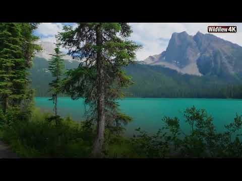 4K Nature Walk Tour - 2-Hour Stroll at Emerald Lake, Yoho National Park | Wildview4K