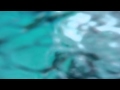 Gopro Pool Jump