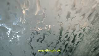 Animaux Surround - Roaccutane