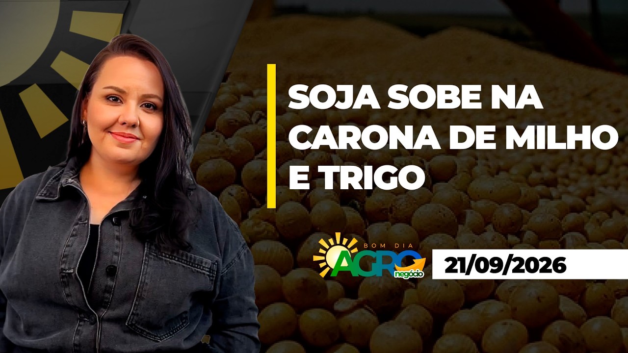 Bom Dia Agro - Geopolítica puxa soja e grãos na CBOT