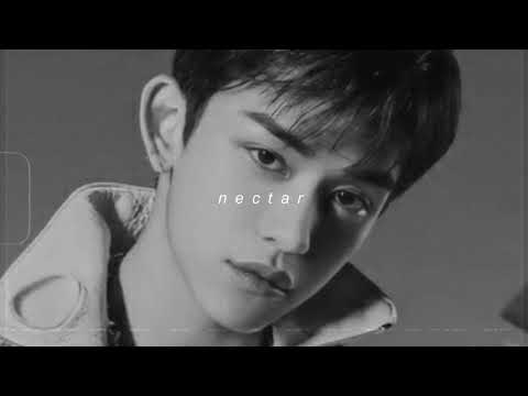 wayv - nectar (slowed + reverb)