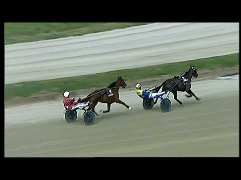 Napoli Trotto 11/03/2022 - prova di qualifica