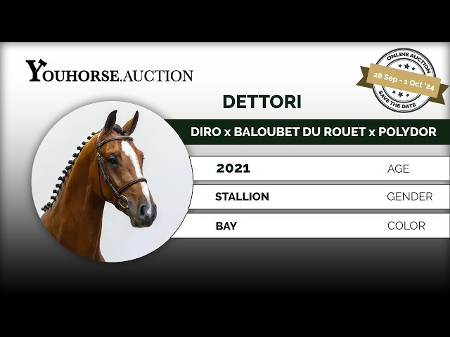Dettori