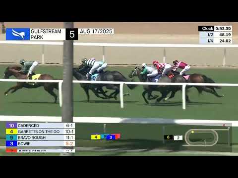 Gulfstream Park Race 5 - August 17, 2025