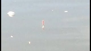 Рыбалка на удочку в конце сентября
