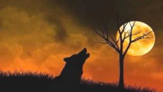 Catamenia - Outro (cover)