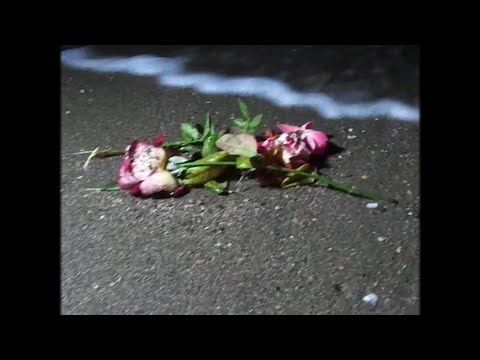 El Virtual - Plus Crocket (Prod. Disturbeats) (Vídeo)