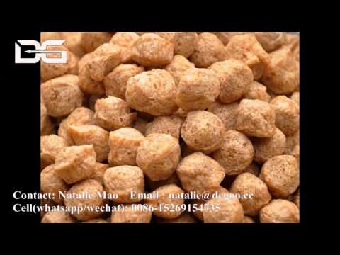 Textured soya protein/ soya chunks/ nuggets extrusion proces...