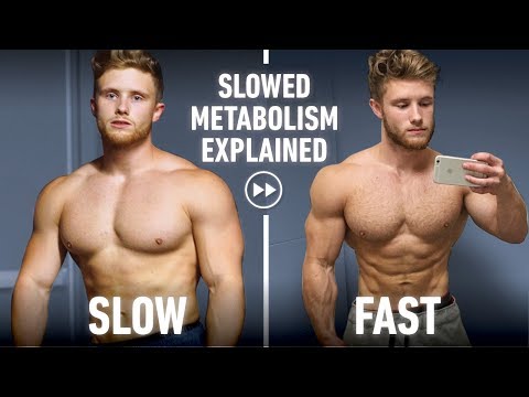 Why We Get Slow Metabolisms & Should You Reverse Diet? Science Discussion ft. Dr. Eric Trexler