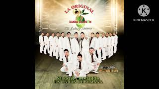 La Original Banda El Limón De Salvador Lizárraga - No Me Dolió (Audio)