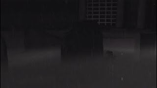 バイオ5　パート5　後編　こんがり焼けました～