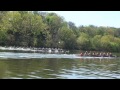 2015 Madeira Cup Cornell Penn Dartmouth EARC HM V8+ Rowing Crew