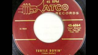 Turtle Dovin -  Coasters