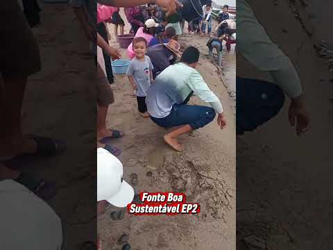 Fonte Boa sustentável ep2
