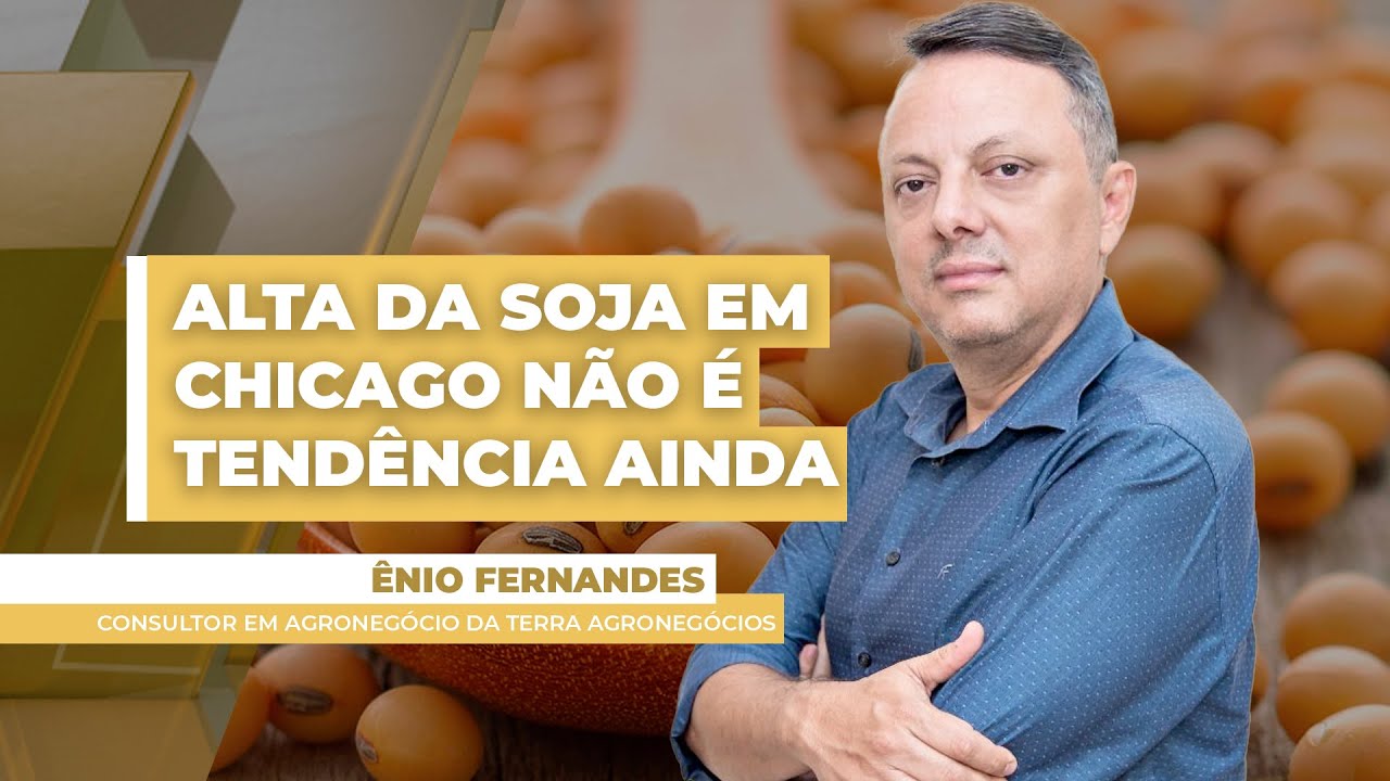 Soja fecha com mais de 1% de alta em Chicago, mas ainda não sinaliza tendência, afirma especialista