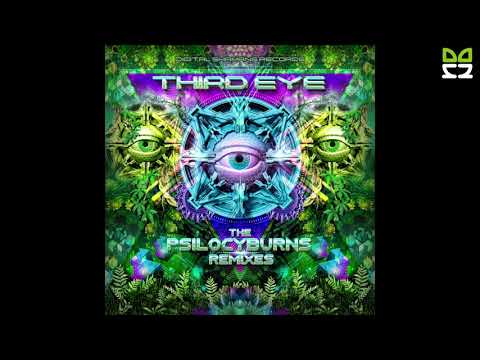 Jumpstreet vs Weirdbass - Na Mames (Psilocyburns Rmx) (148 Bpm)