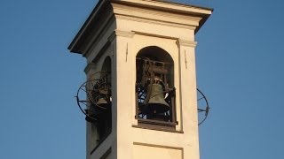 preview picture of video 'Le campane di Zibido San Giacomo (MI) - Chiesa Parrocchiale dei Ss. Vincenzo e Bernardo (Moirago)'