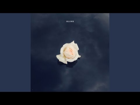 Dahin (feat. Donvtello, Fid Mella, Jamin, Lex Lugner, Opti Mane)