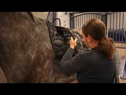 CORE by D INSTRUKTIONSVIDEO Svenska