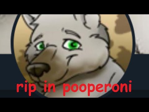 A Tribute to MessyTails