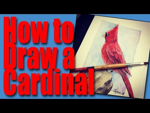 How to draw a Cardinal