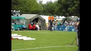 preview picture of video 'Police Dog Show at Armed Forces Day: Scunthorpe 2013'