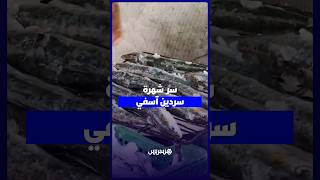 سر شهرة سردين آسفي.. طراوة استثنائية وإقبال كبير رغم ارتفاع الأسعار وقلة المنتوج thumbnail
