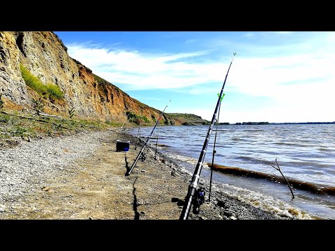 Рыбалка на Дону ЭТИ ДУРАКИ ОТРЫВАЮТ И РАЗГИБАЮТ КРЮЧКИ!!! СНАСТЬ УБИЙЦА САЗАНА