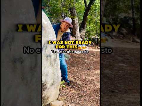 Share/share👇🏾 Love this/Did you like it👇🏾😱. #bachata #cats #memes #bachatatips #cutecats