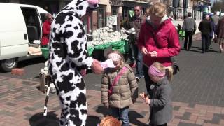 preview picture of video 'Bloemenmarkt Lochristi (Mi)'