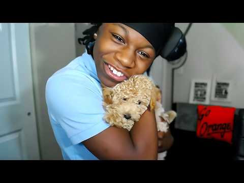 ¡TENGO UN NUEVO CACHORRO!